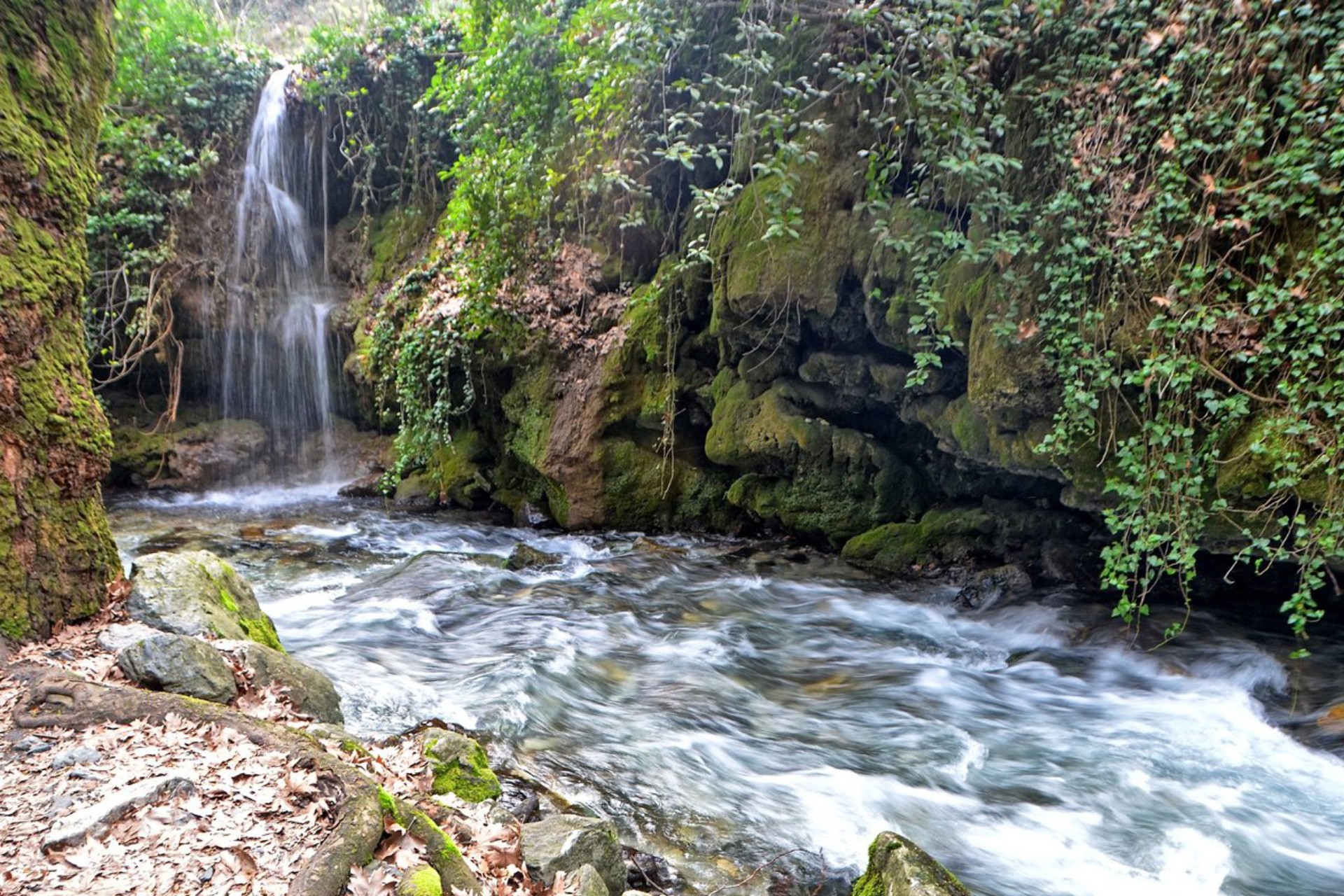 Doğayla İç İçe Bir Tatil